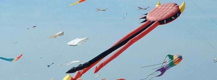 kite festival kites image