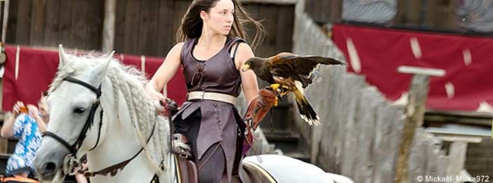 Check out the falconry show at Zoo d’Amnéville