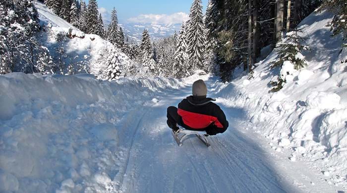 Austria has some great places to go sledding.