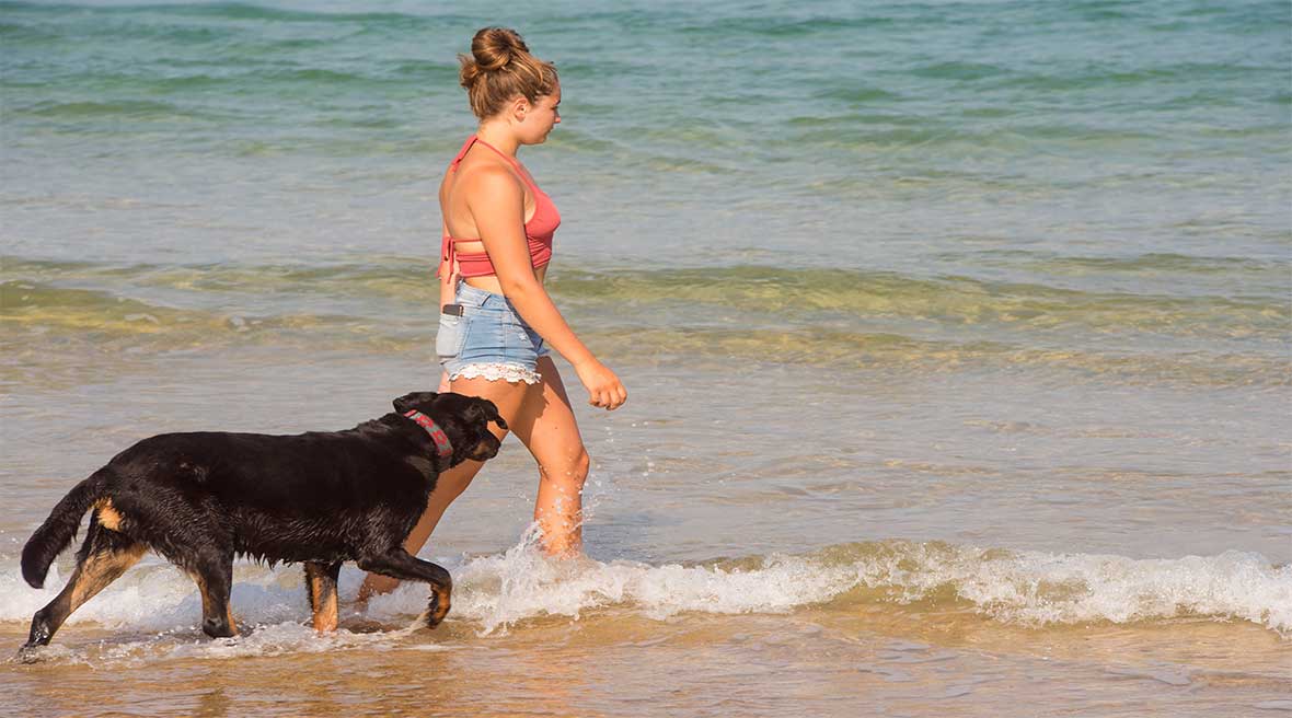 Young woman walking with her dog on the beautiful beaches of southwestern France