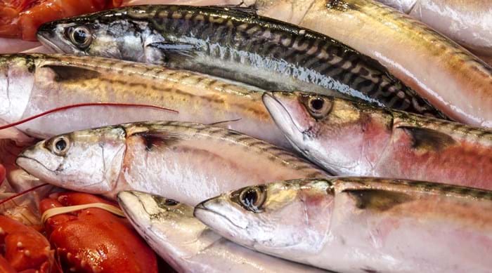 Light and tasty, the best mackerel can be enjoyed at Trouville-sur-Mer.