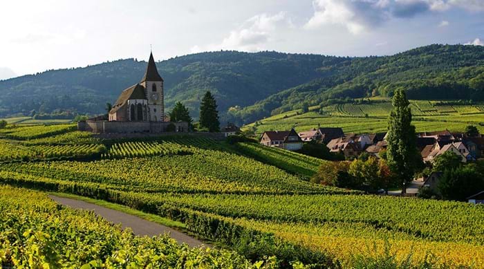  Explore the rolling hills of the Alsace region and all they have to offer. 