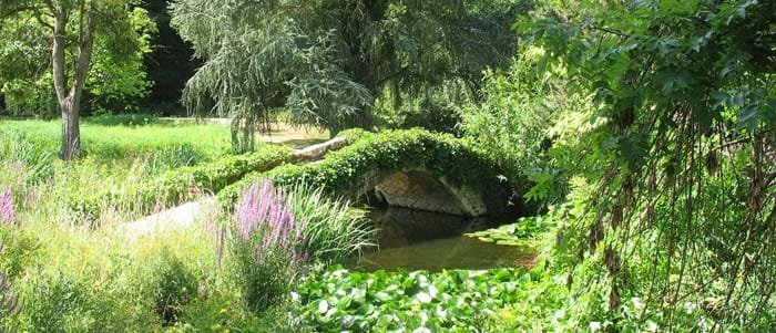 Take a stroll through the beautiful Parc Floral de la Source