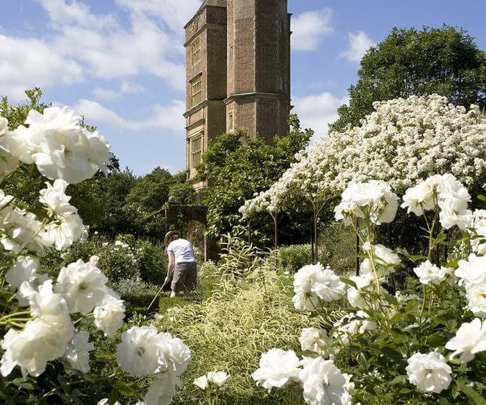 Rozen in bloei bij de White Garden bij Sissinghurst Castle Garden