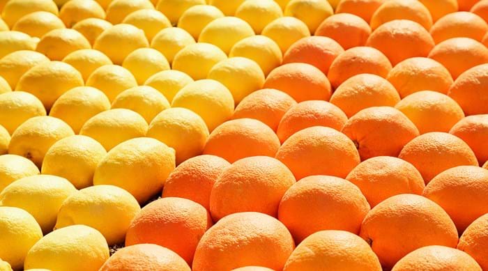 Menton’s lemons are unique in their colour, shape and flavour