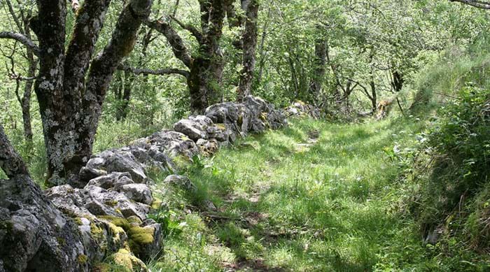 Explore the countryside along the Mont Lozère hiking trail