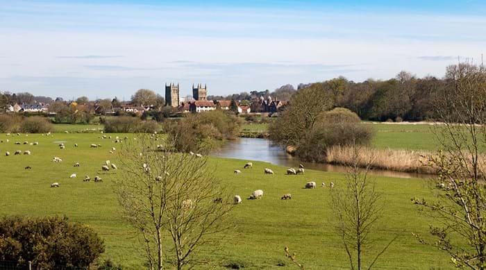 Vue sur le charmant village de Wimborne, ses moutons en pâture et la rivière qui le traverse.