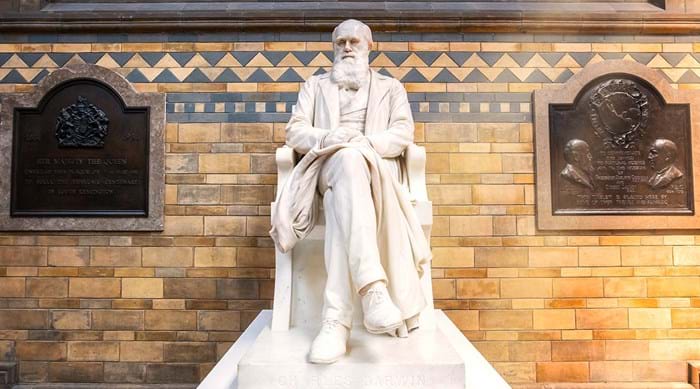 Statue de Charles Darwin
