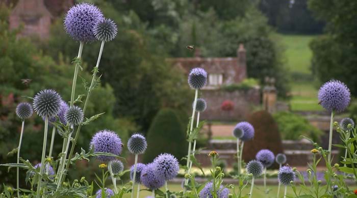 De bekroonde Engelse tuin van Groombridge place met het landhuis op de achtergrond in Kent Engeland
