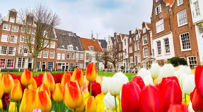 Amsterdam's hofje's are full of flowers and are a peaceful place to unwind
