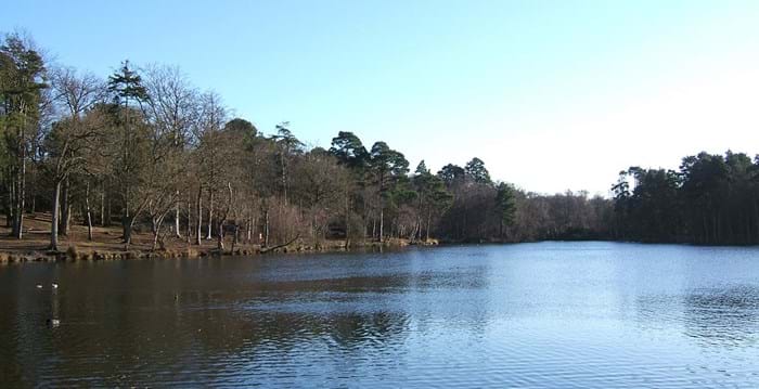 L’étang de Buchan Country Park à Crawley