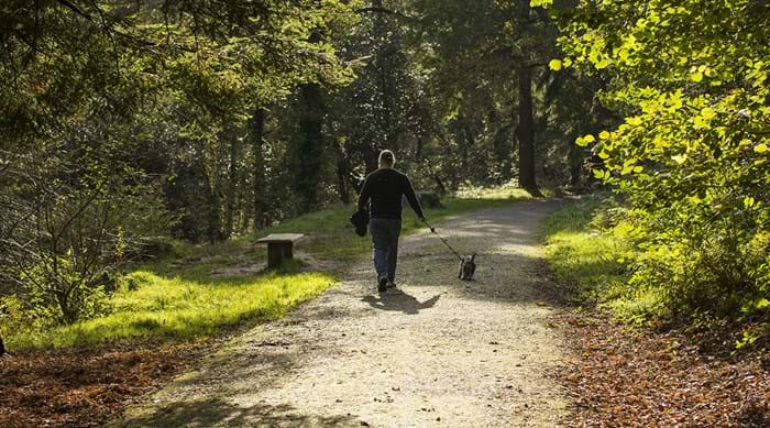 Man maakt samen met zijn hond een wandeling in natuurgebied Cornwall